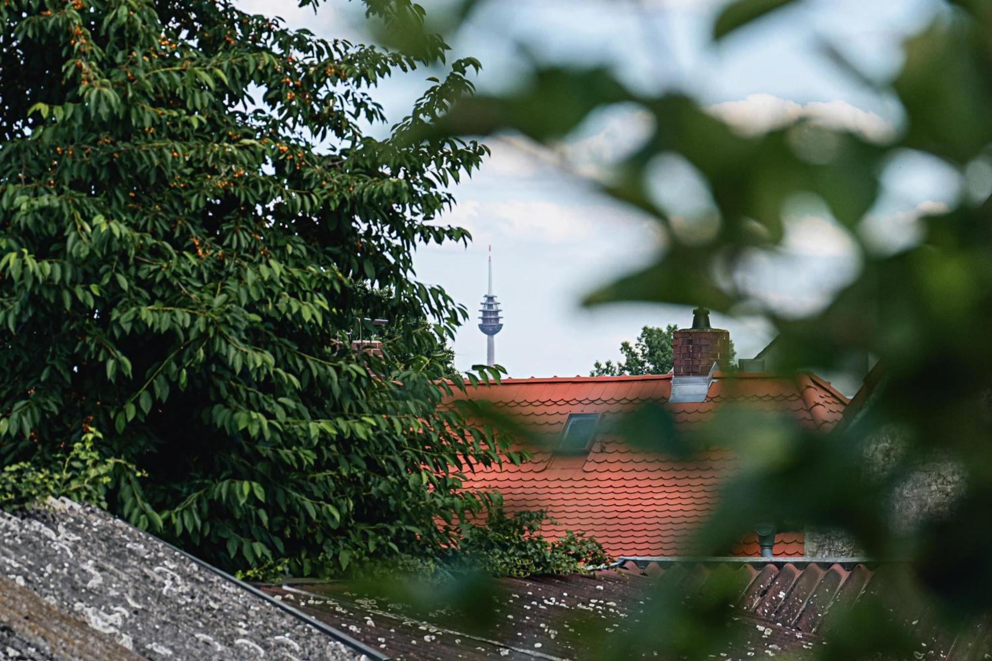Ferienwohnung Schleicher Mit Klimaanlage 齐恩多夫 外观 照片